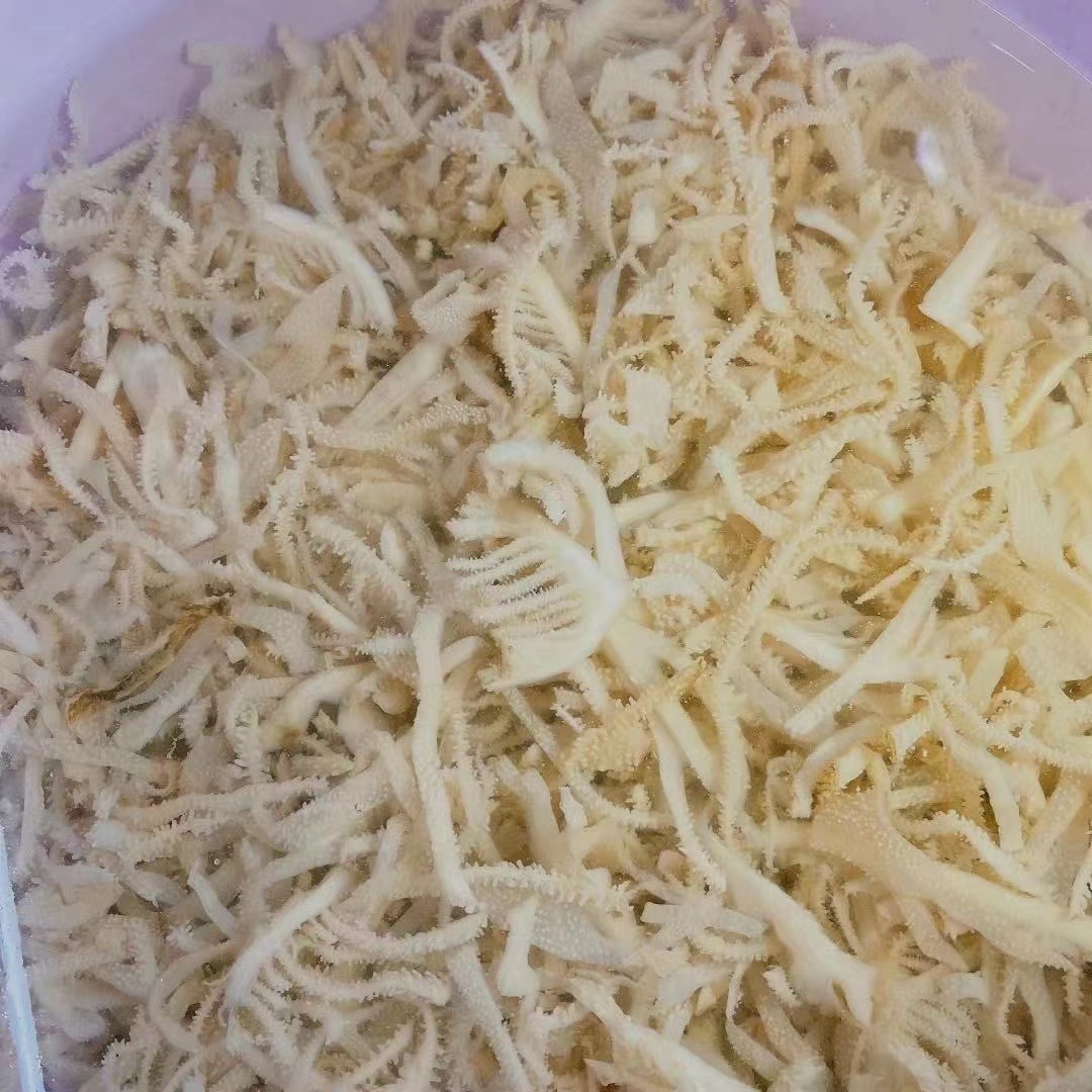 短白千