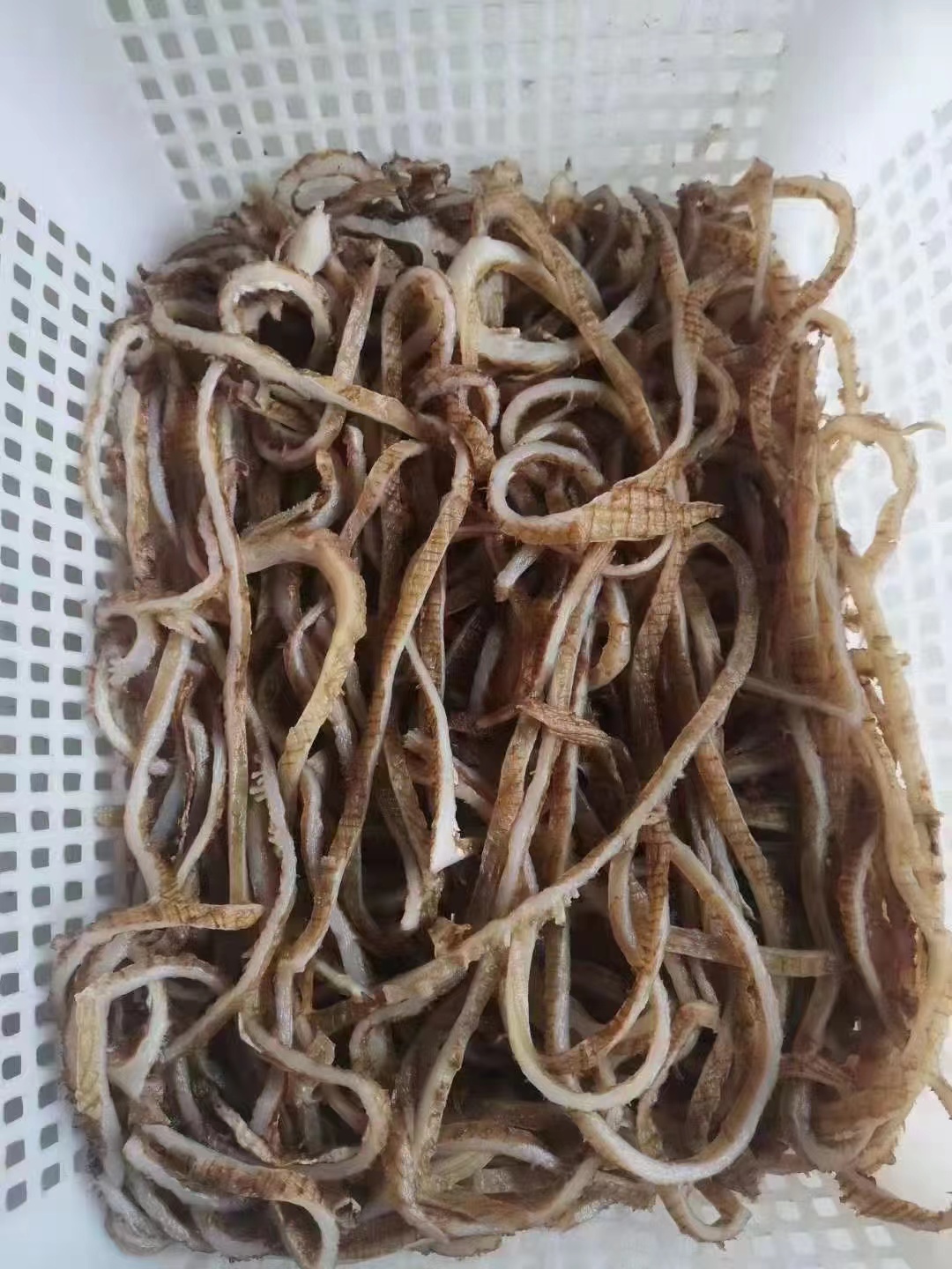 黑底板丝