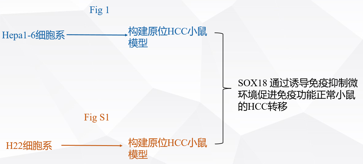sci