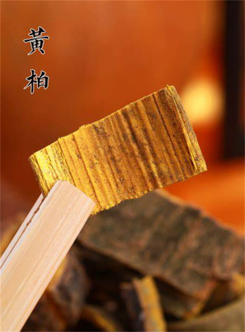 黄柏