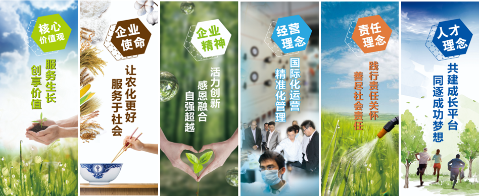 1726795377904434.png 企业文化.png