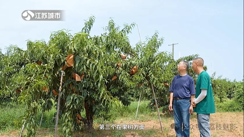 南京农业大学园艺学院