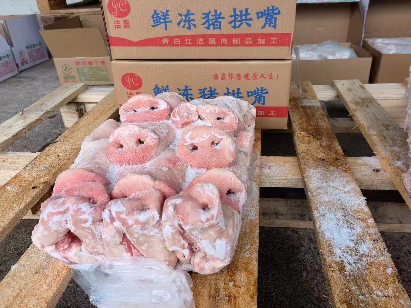 猪拱嘴