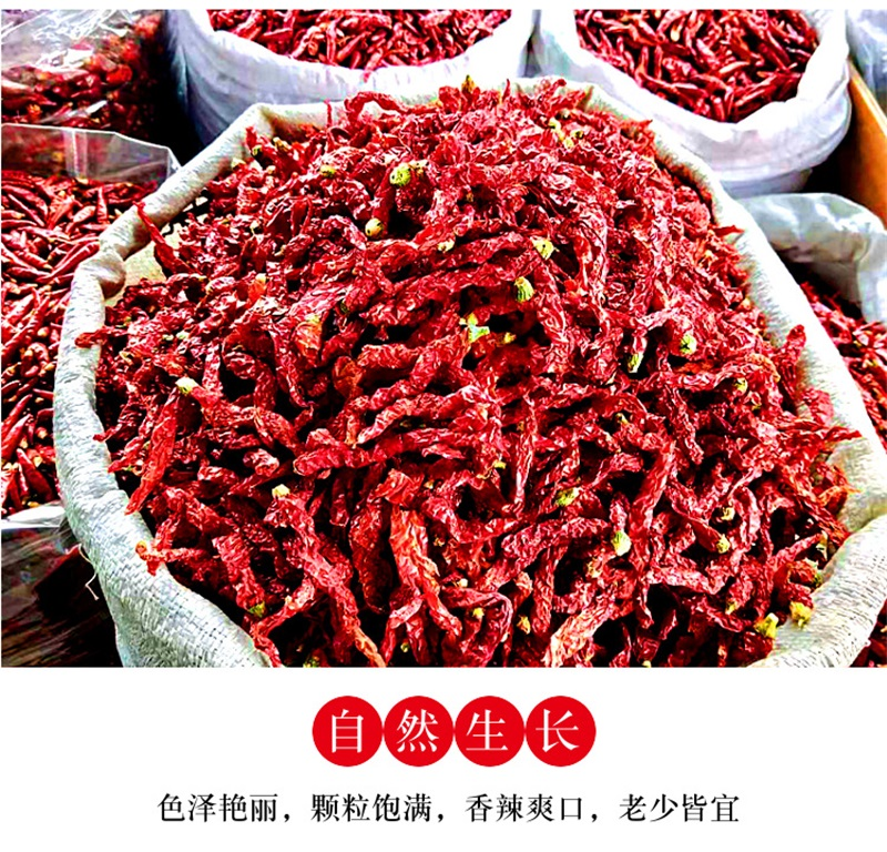 西充二荆条辣椒
