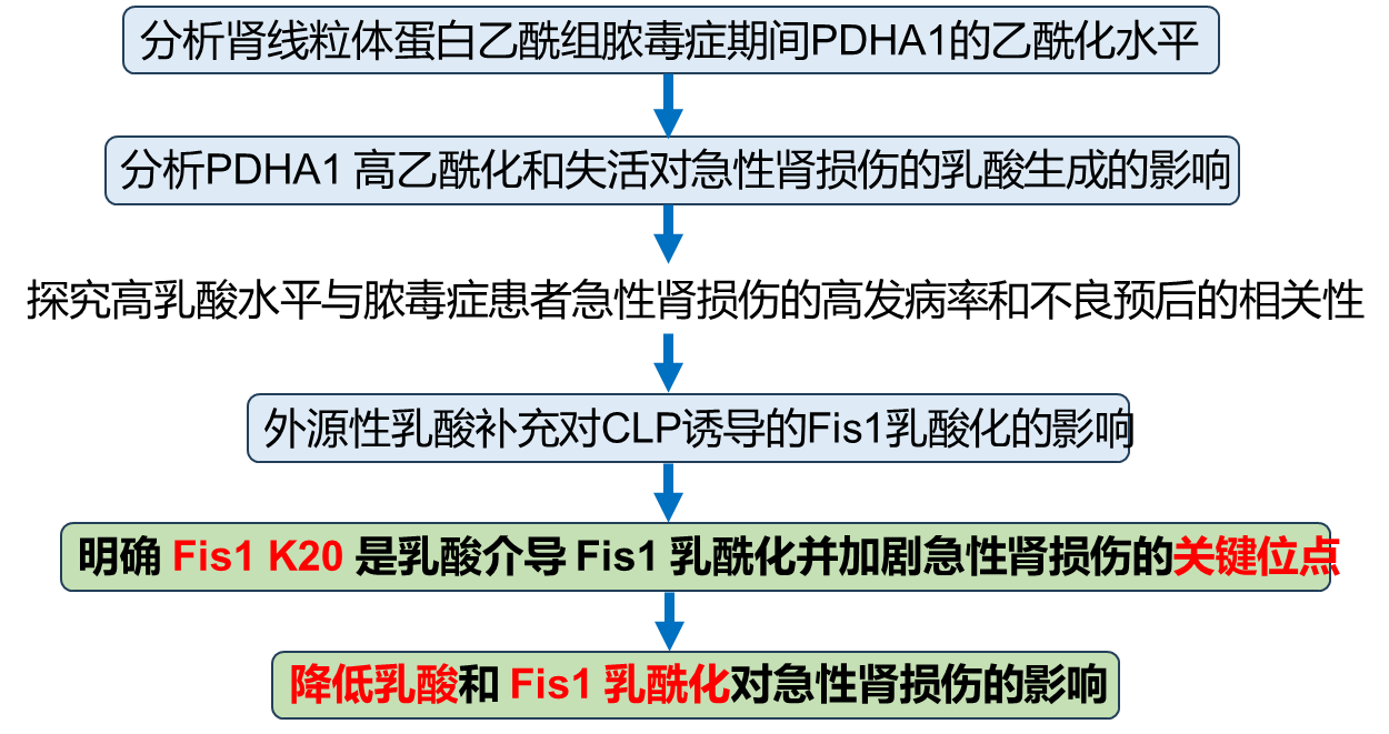 国自然