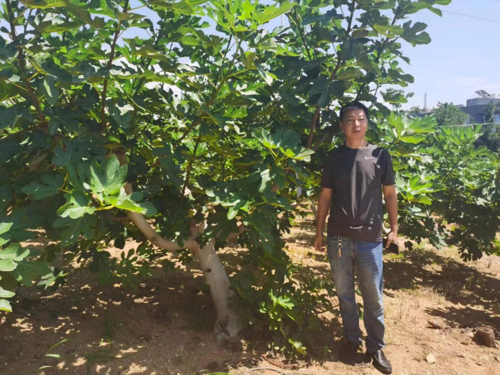 威海昌泰船舶修造有限公司