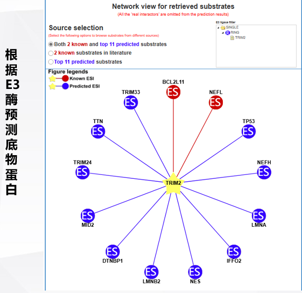 国自然