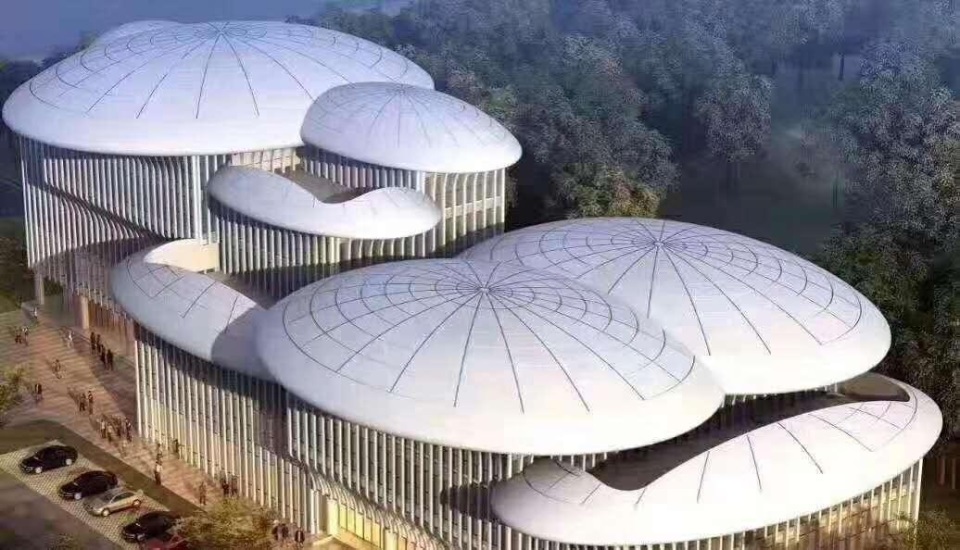 弧形、单曲、双曲板