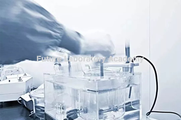 中国未来实验室发展展望