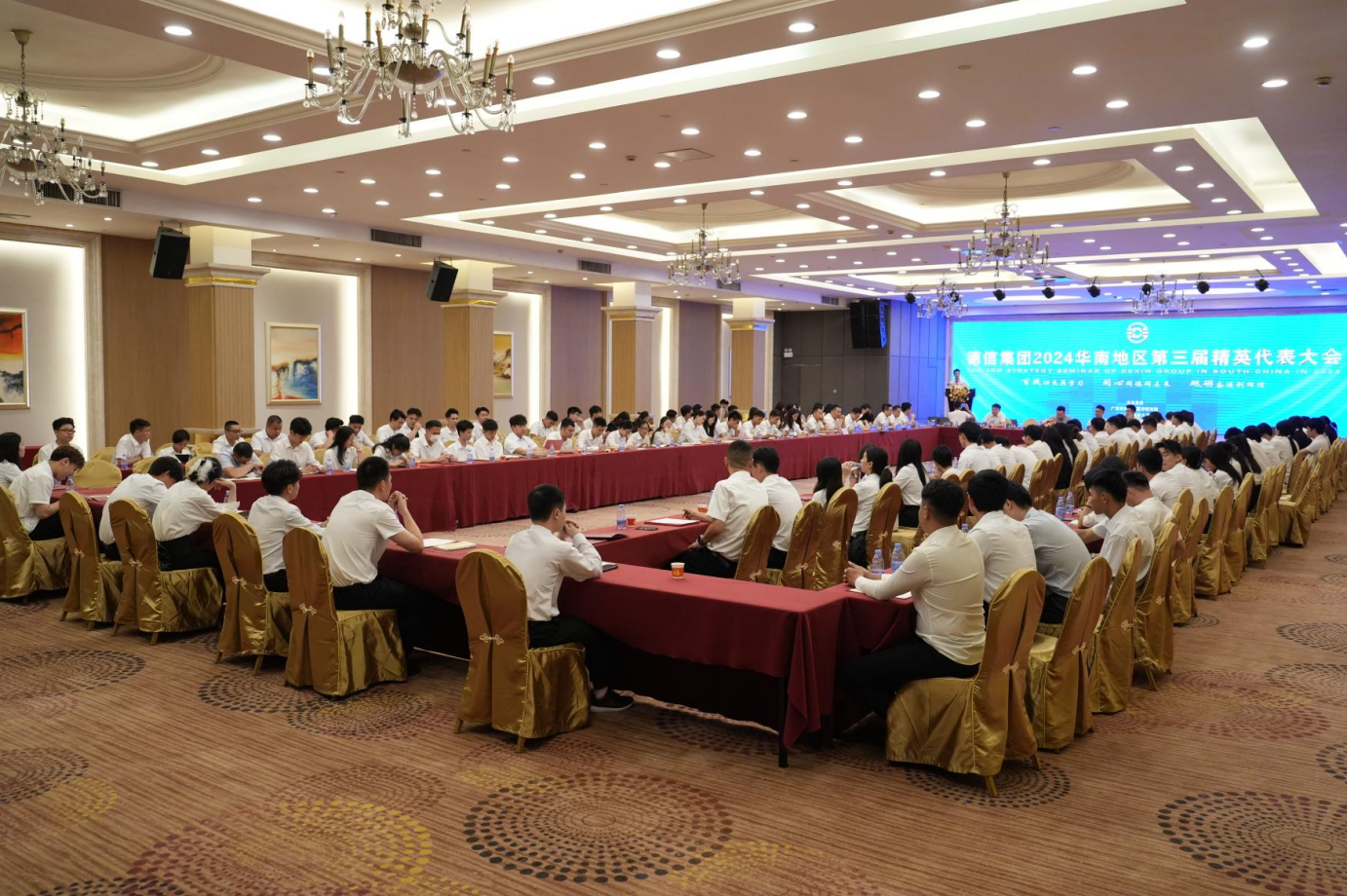 同心同德同未来 胸怀使命创辉煌｜德信集团召开2024华南地区第三届精英代表大会