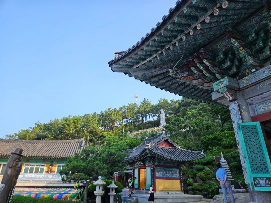 1730448013909521.jpg 郑州商业企业家联合会赴韩国考察