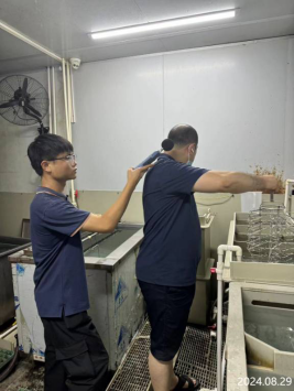 信息公示