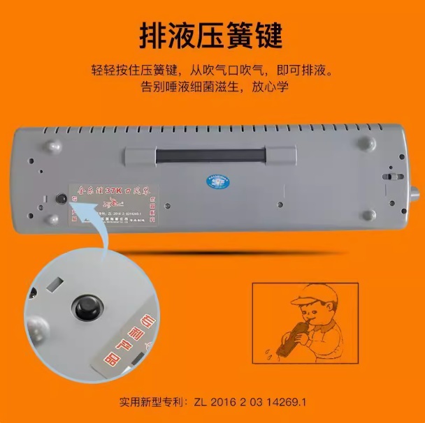 天鹅-37键全乐理口风琴