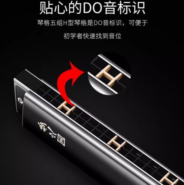 国光-国之梦 24 28孔口琴