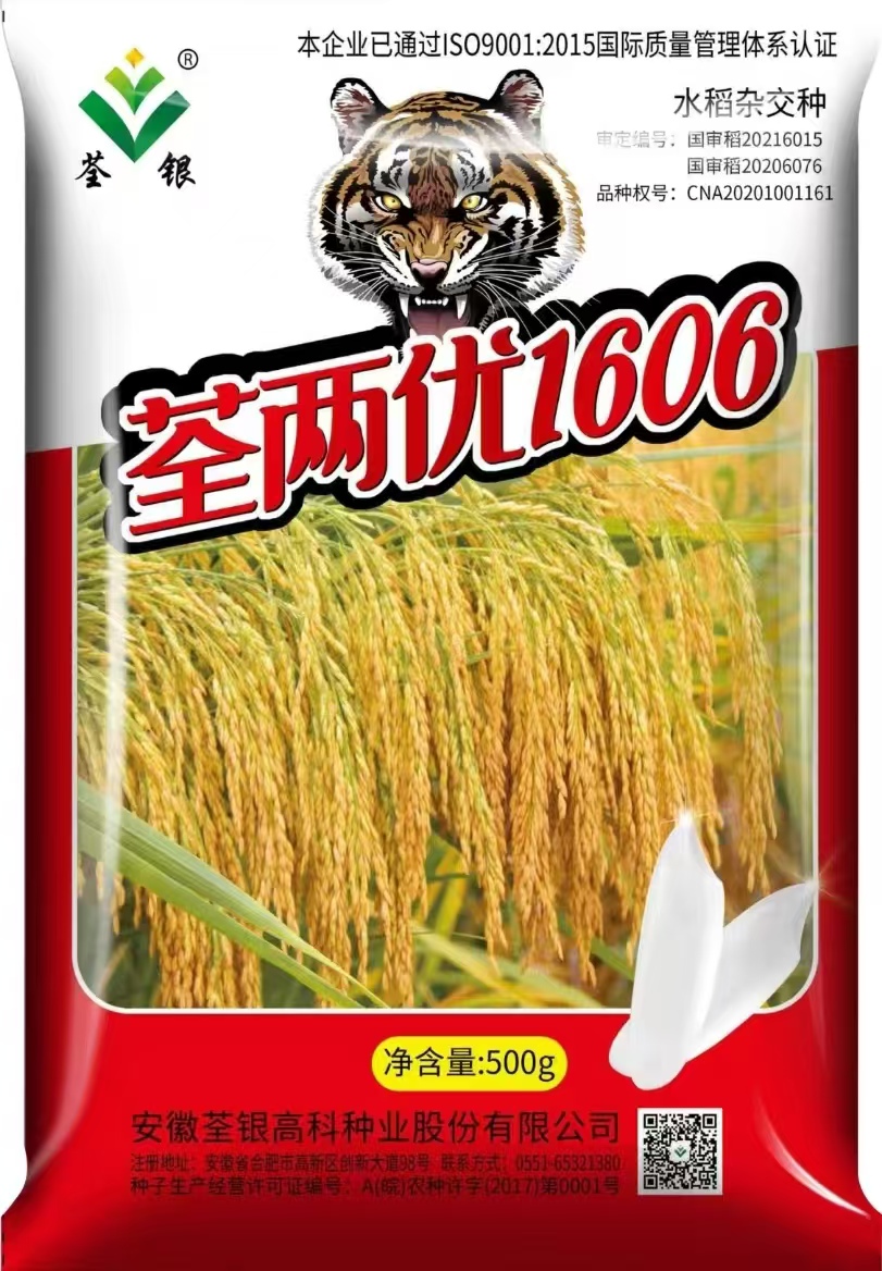 老虎稻荃两优1606