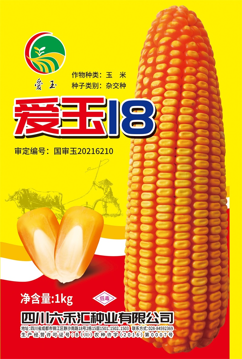 爱玉18