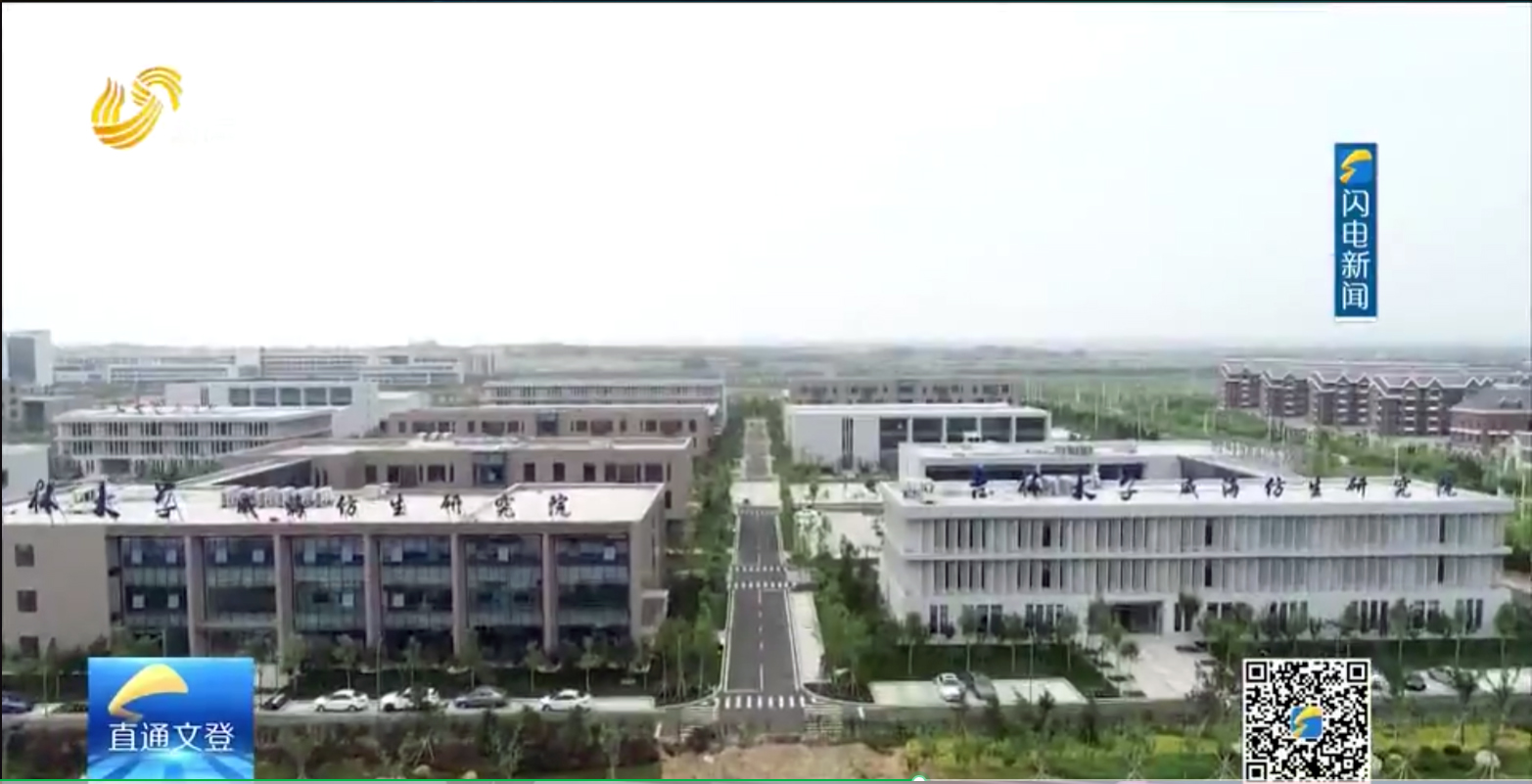 媒体采访、吉林大学威海仿生研究院