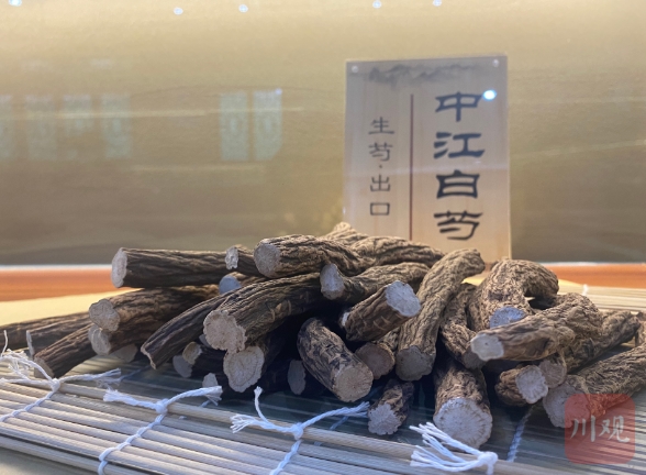 中江芍药