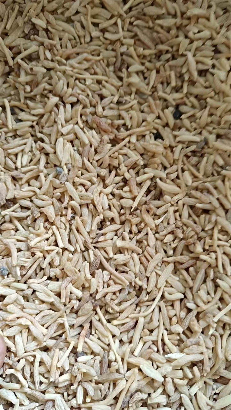 麦冬