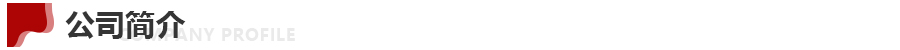 公司简介