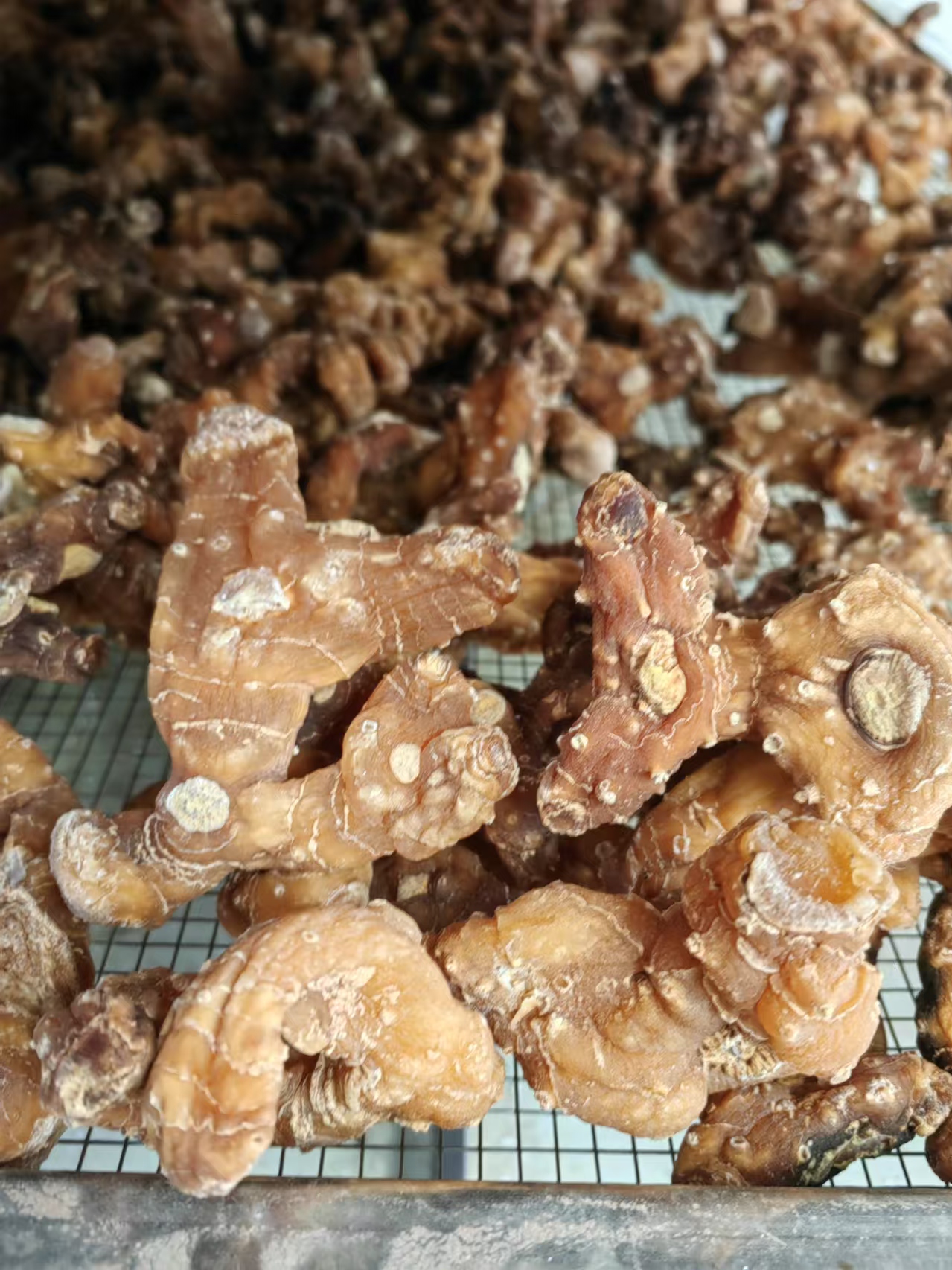 九制黄精