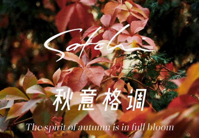 Satchi