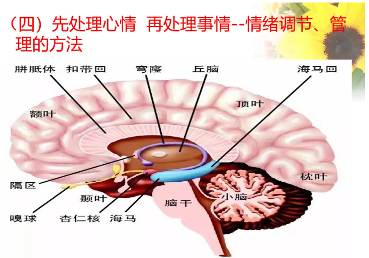 盘锦搏博职业培训学校