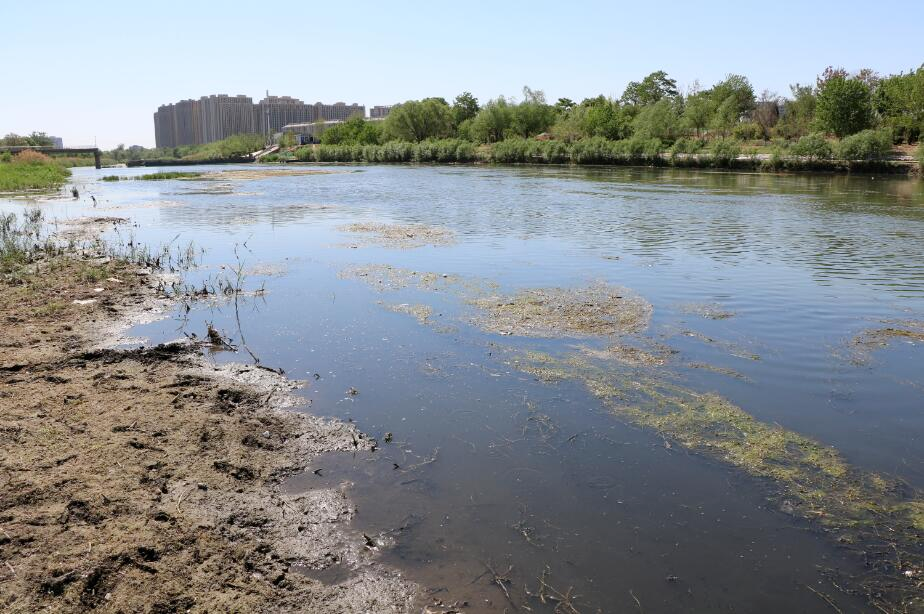 后湖流域治理