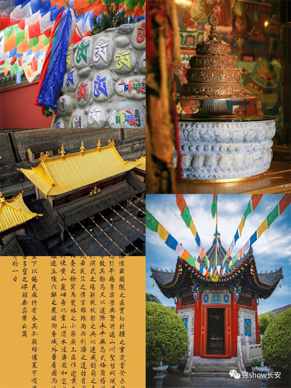 Jin Hui Dui