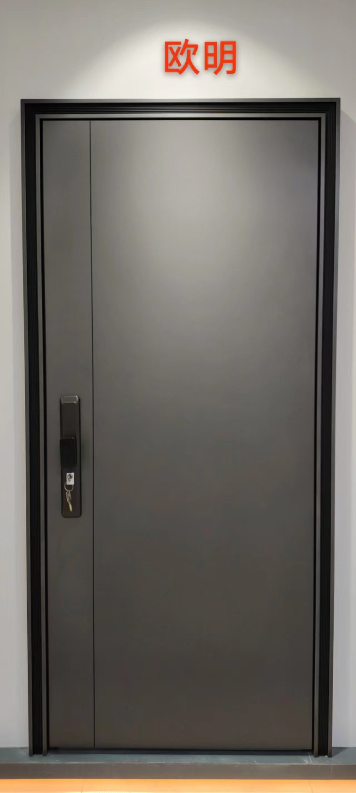 高 端品牌防盗门