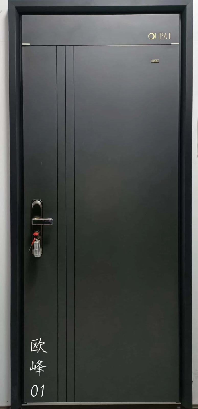 高 端品牌防盗门