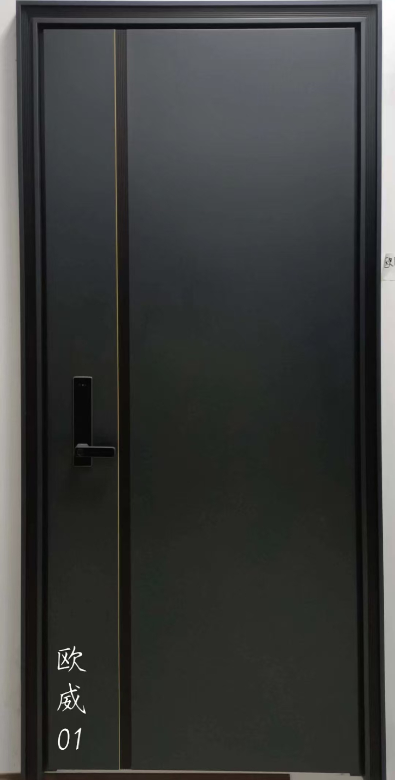 高 端品牌防盗门