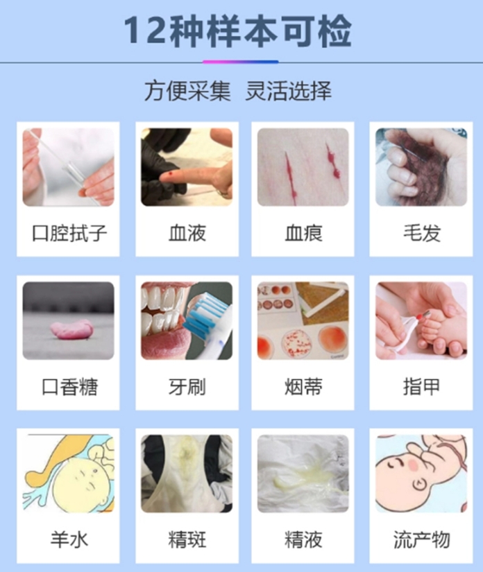 亲子鉴定