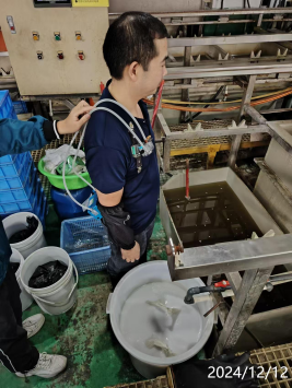 信息公示