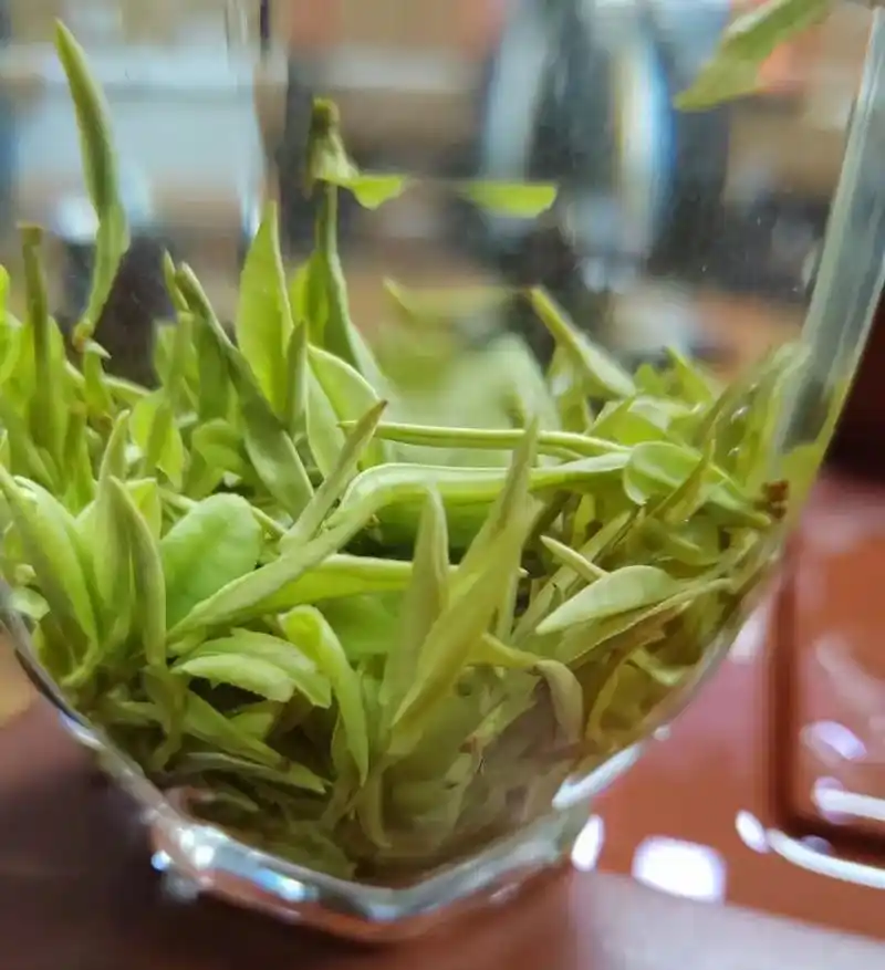 白茶