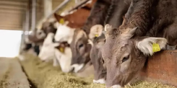 1739411913680724.jpg 应用范围