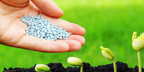 1739411932125526.png 应用范围