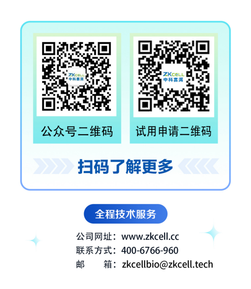 NK细胞试剂盒