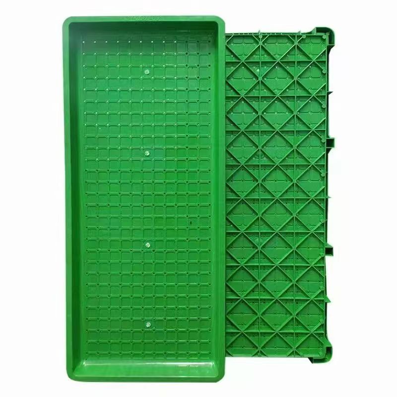 1739963045167264.jpg 育秧盘