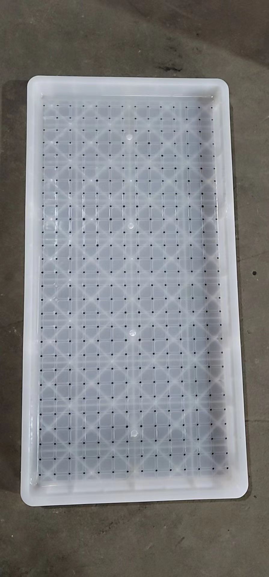 1739963045290606.jpg 育秧盘
