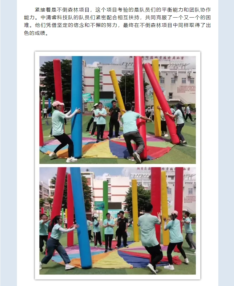 团队