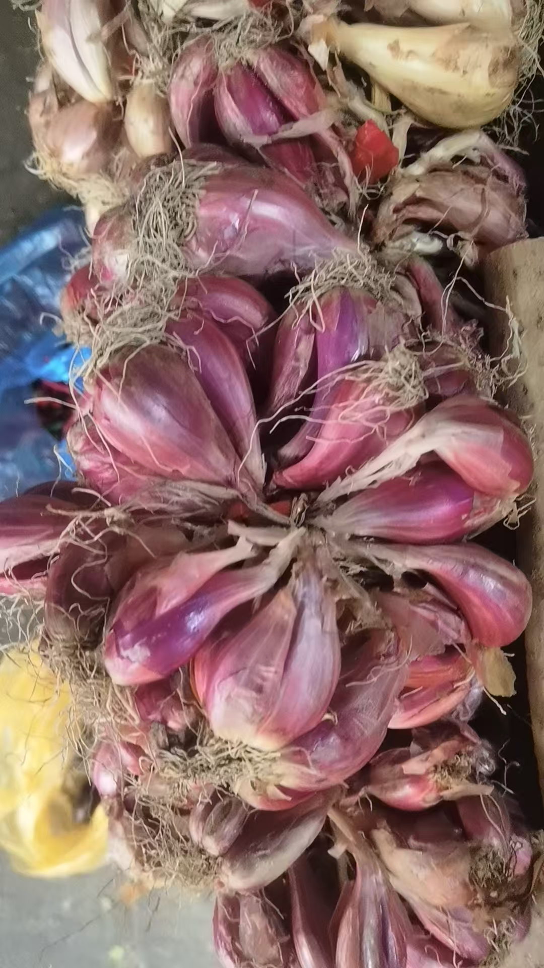 粮油批发