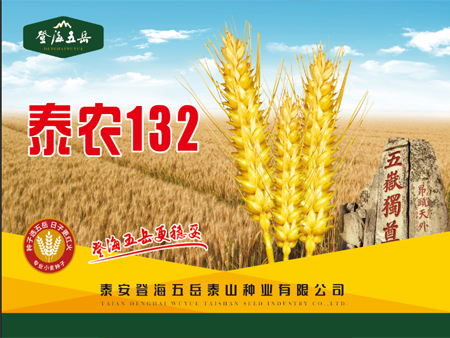 泰农132