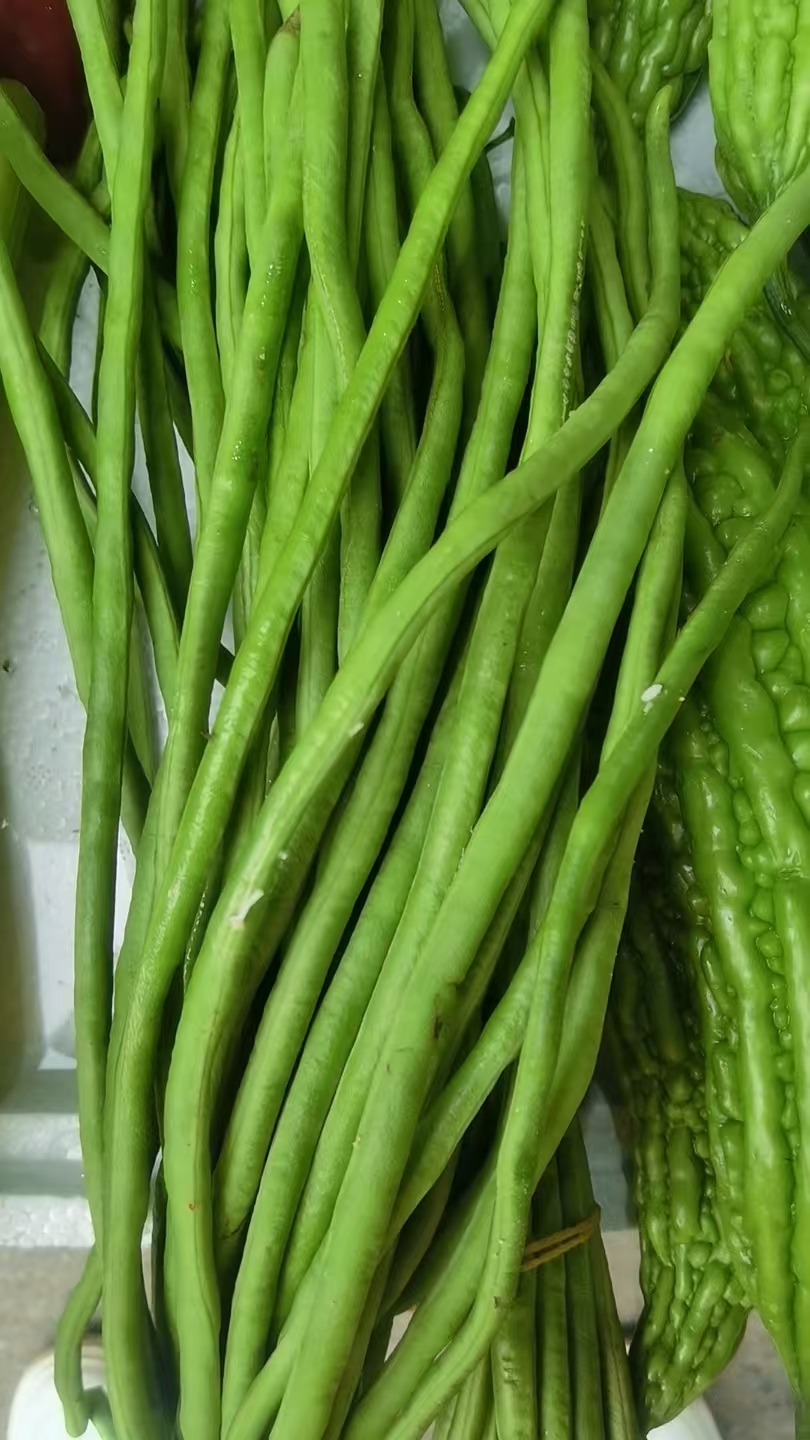 惠东四季豆批发
