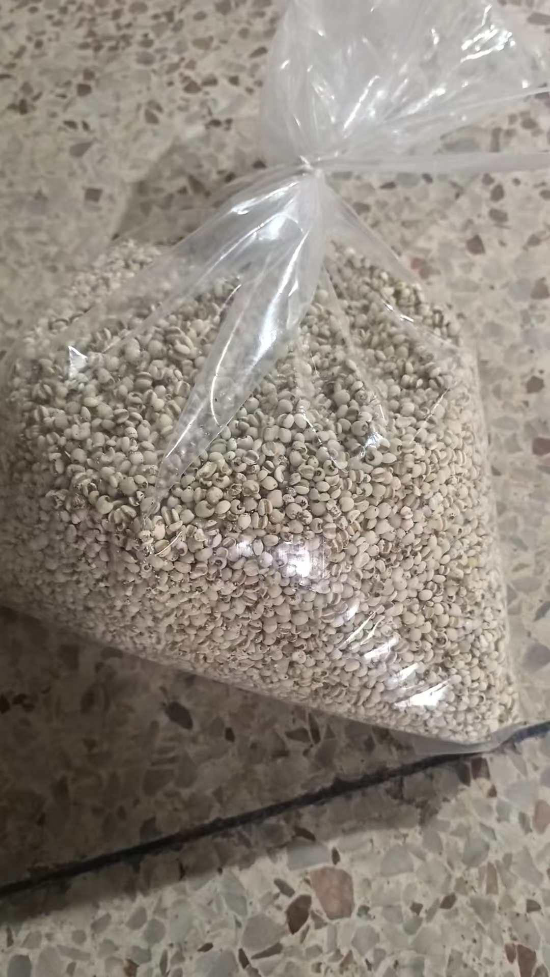 惠东薏米批发