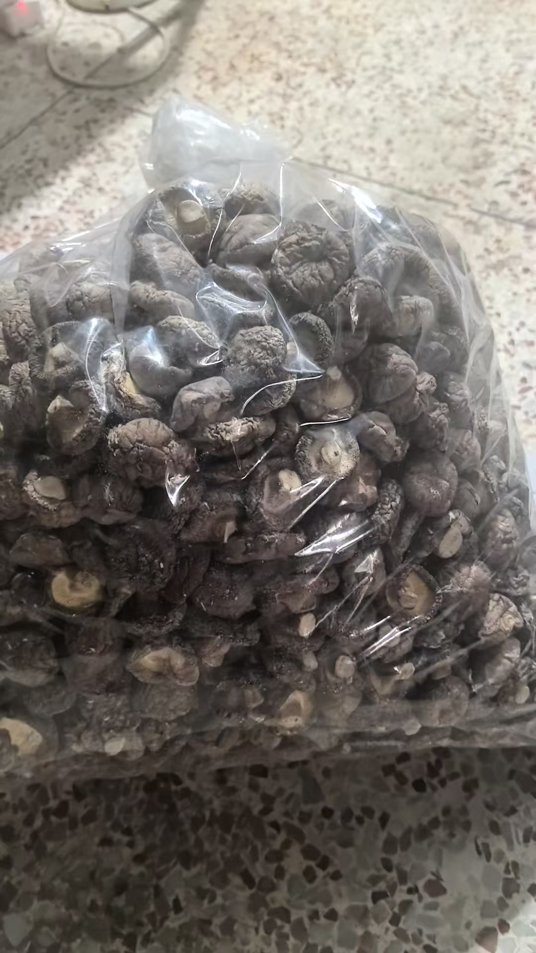 惠东香菇批发