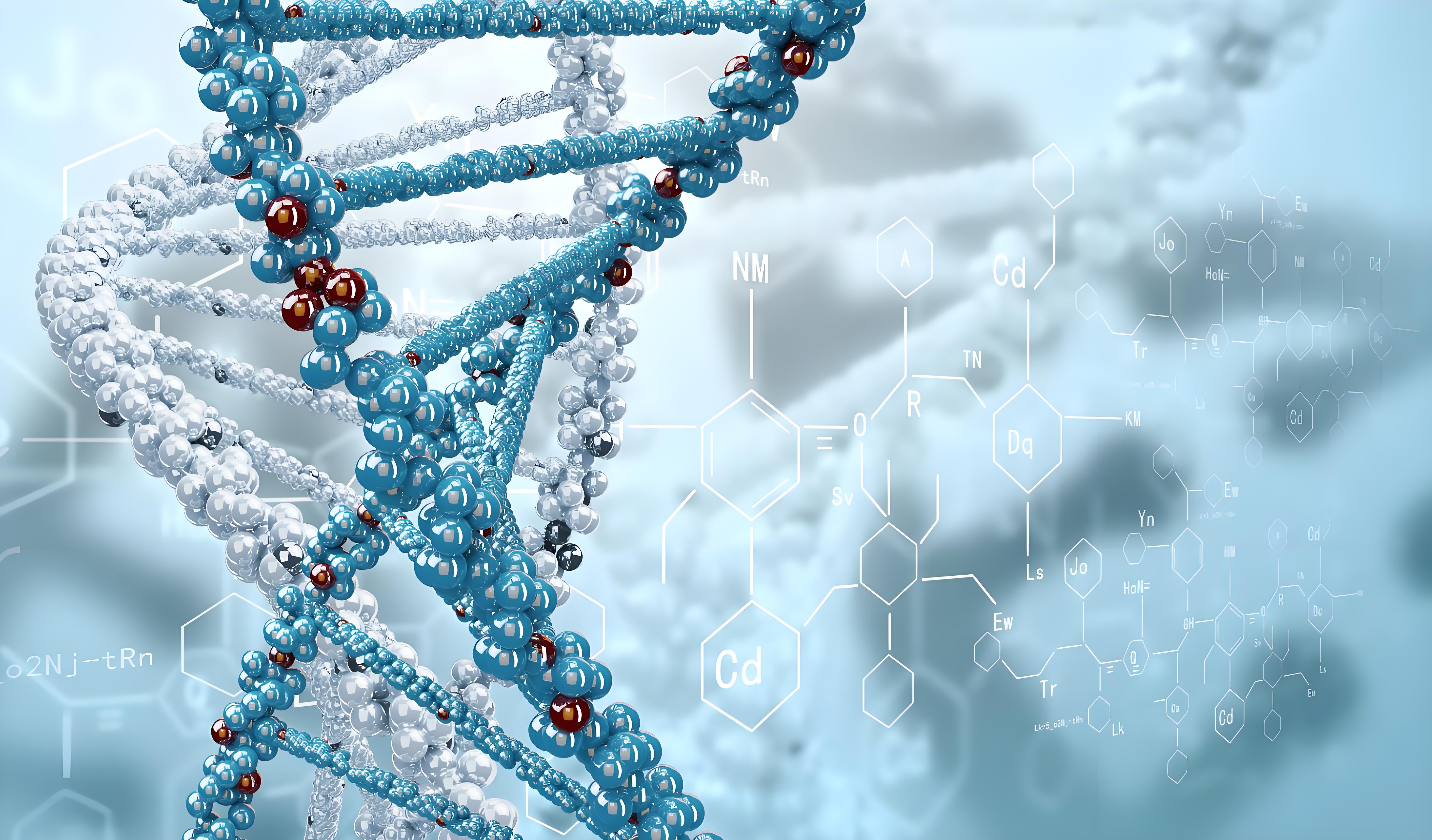 惠州DNA