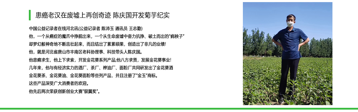 陈庆国开发菊芋纪实