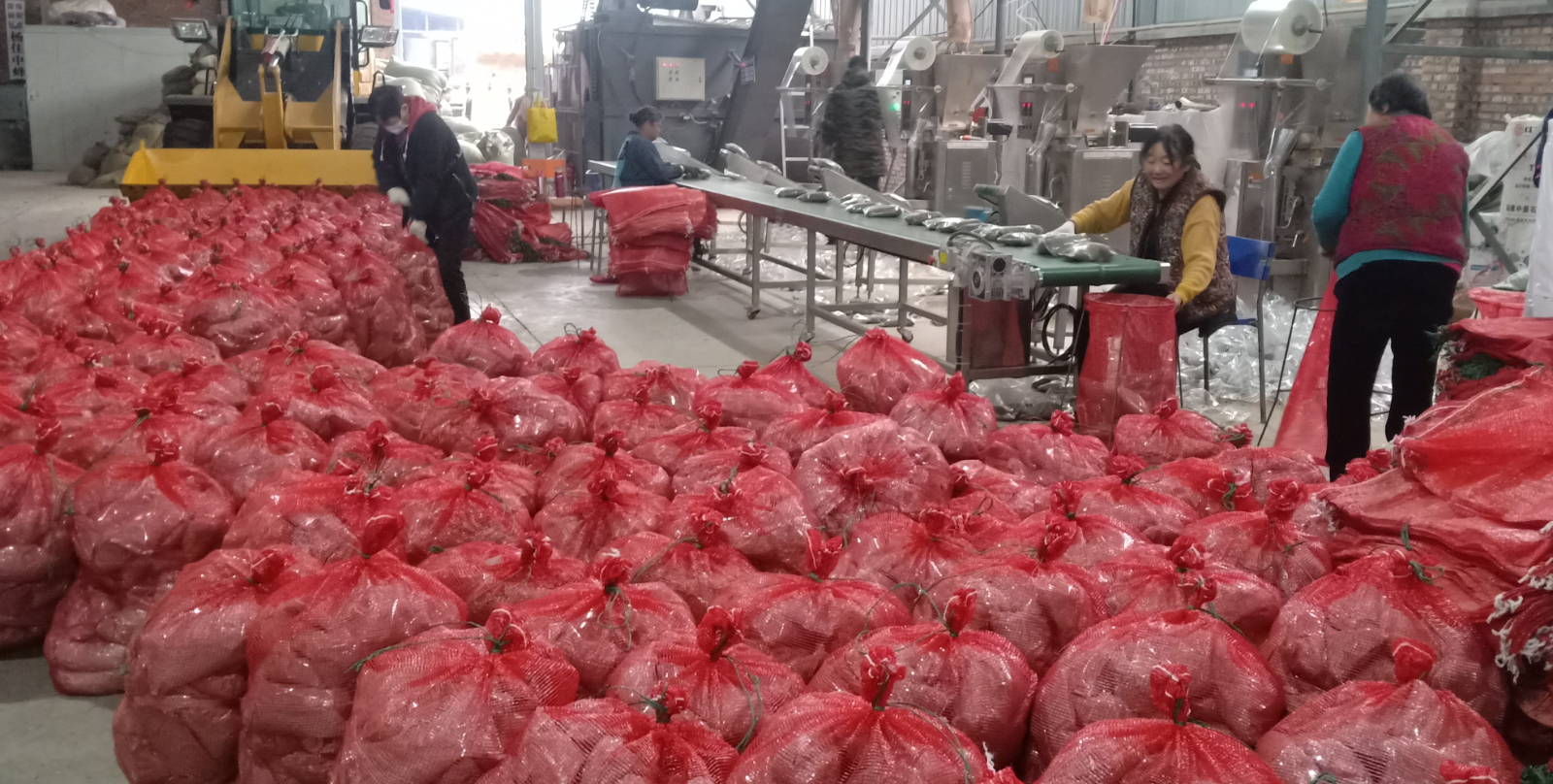 羊肚菌公司展示