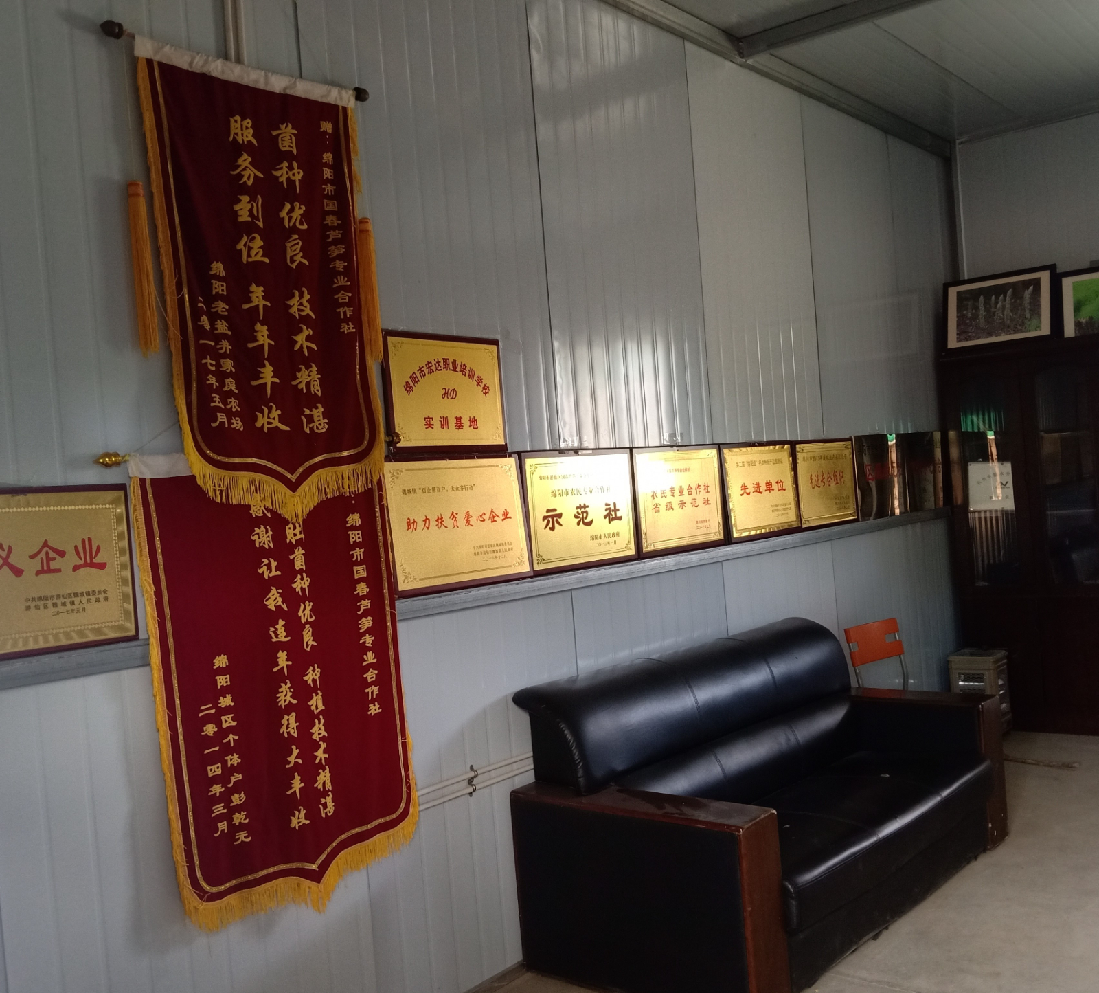 羊肚菌公司展示